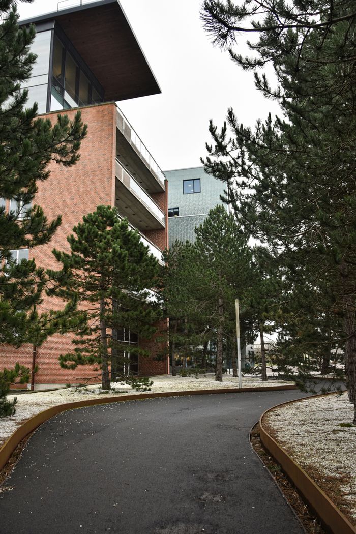 A modern brick building surrounded by evergreen trees along a curved pathway.